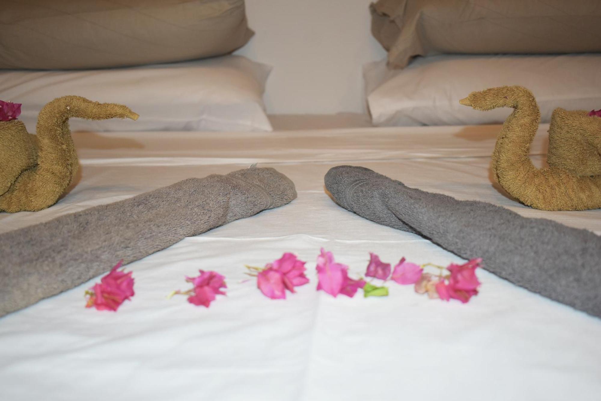 Julito, Vilă Kiwengwa (Zanzibar)